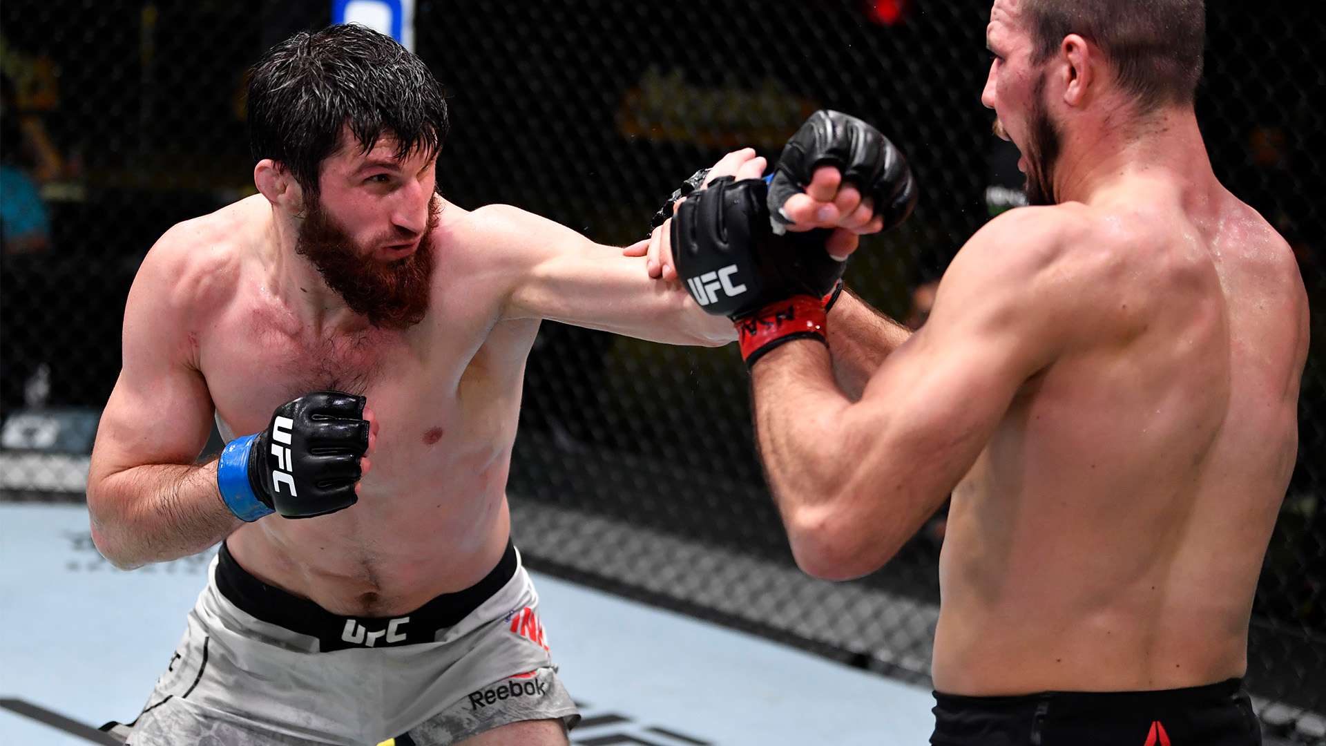 员的价值 员的价值